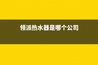 领派壁挂炉厂家服务网点电话多少(领派热水器是哪个公司)