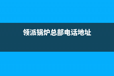 领派锅炉总部电话(领派锅炉总部电话地址)