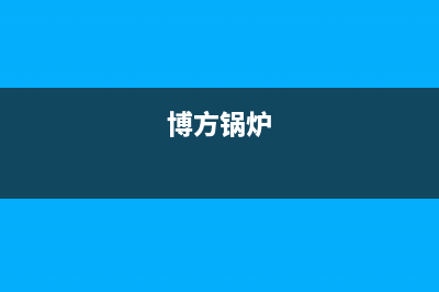 博格尔锅炉维修教程大全(博方锅炉)