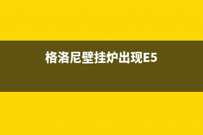 格洛尼壁挂炉出现e5故障码什么情况(格洛尼壁挂炉出现E5)