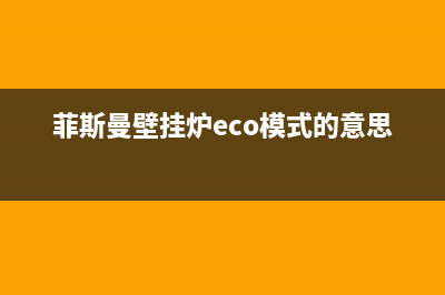 菲斯曼壁挂炉e4故障(菲斯曼壁挂炉eco模式的意思)