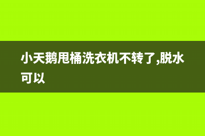 小天鹅甩桶洗衣机故障代码E1(小天鹅甩桶洗衣机不转了,脱水可以)