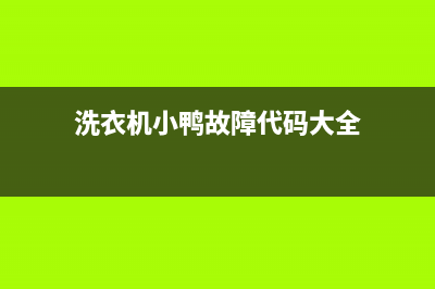 洗衣机小鸭故障代码e2(洗衣机小鸭故障代码大全)