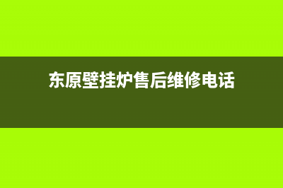 东原锅炉厂家维修服务中心(东原壁挂炉售后维修电话)