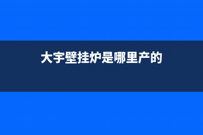 大宇壁挂炉厂家维修电话是什么(大宇壁挂炉是哪里产的)