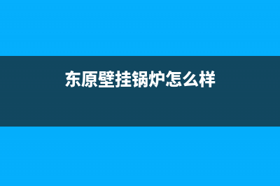 东原锅炉客服电话人工服务电话(东原壁挂锅炉怎么样)