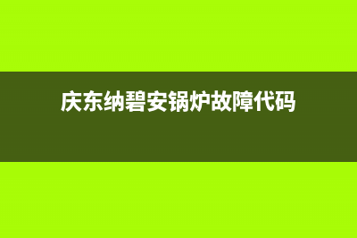 庆东纳碧安锅炉总公司电话(庆东纳碧安锅炉故障代码)