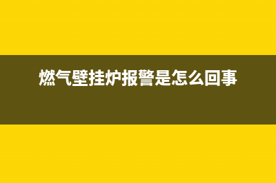 燃气壁挂炉报警显示ep代码(燃气壁挂炉报警是怎么回事)