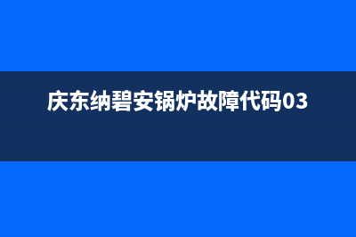 庆东纳碧安锅炉全国服务热线(2023总部更新)(庆东纳碧安锅炉故障代码03)