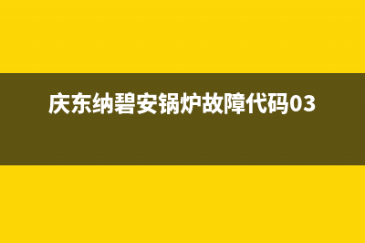 庆东纳碧安锅炉客服电话（厂家400）(庆东纳碧安锅炉故障代码03)