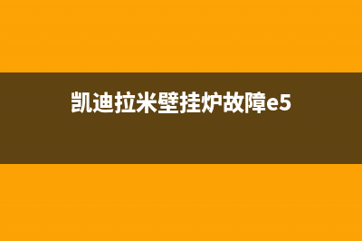 凯迪拉米壁挂炉故障E2(凯迪拉米壁挂炉故障e5)