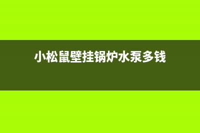 小松鼠壁挂锅炉24小时服务热线2023已更新(官网更新)(小松鼠壁挂锅炉水泵多钱)