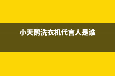 小天鹅洗衣机代码e33是什么故障(小天鹅洗衣机代言人是谁)