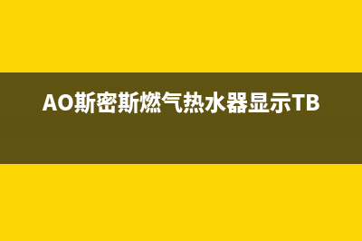 ao斯密斯燃气热水器故障ed(AO斯密斯燃气热水器显示TB)