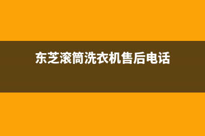 东芝滚筒洗衣机eh31故障代码(东芝滚筒洗衣机售后电话)