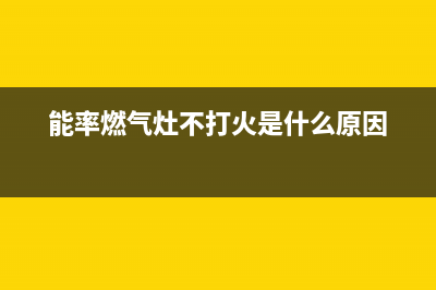 能率燃气灶出现E4故障如何排除(能率燃气灶不打火是什么原因)