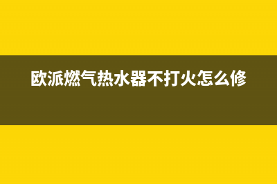 欧派燃气热水器显示e9是什么故障代码(欧派燃气热水器不打火怎么修)