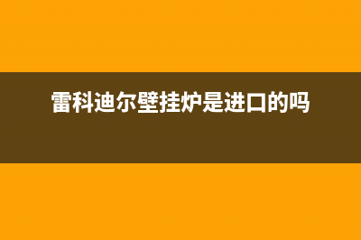 雷科迪尔壁挂炉故障代码e1(雷科迪尔壁挂炉是进口的吗)