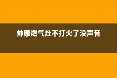 帅康燃气灶不打火故障排查(帅康燃气灶不打火了没声音)