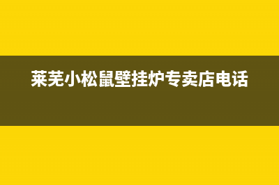 莱芜小松鼠壁挂炉售后店铺(莱芜小松鼠壁挂炉售后在哪)(莱芜小松鼠壁挂炉专卖店电话)