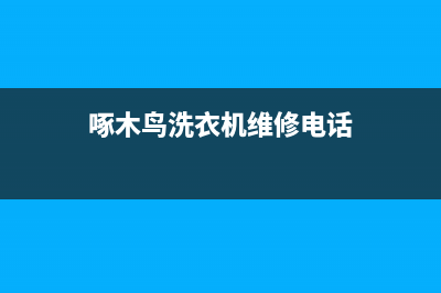 洗衣机维修电话鄂州(洗衣机维修电话高密)(啄木鸟洗衣机维修电话)