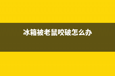 老鼠咬冰箱维修(老鼠咬破冰箱内胆维修)(冰箱被老鼠咬破怎么办)