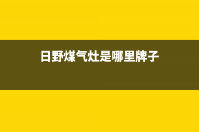 日野燃气燃气灶故障维修(日野煤气灶是哪里牌子)