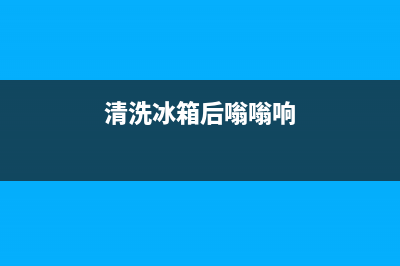 清洗冰箱后嗡嗡响(清洗冰箱后先放东西还是先插电)(清洗冰箱后嗡嗡响)