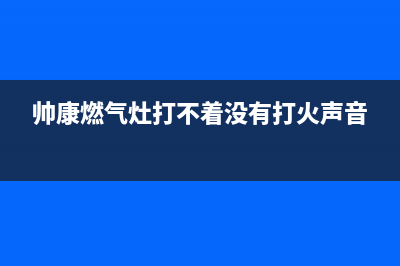 帅康燃气灶打不着火、不点火故障原因在于电池、点火针和火盖(帅康燃气灶打不着没有打火声音)