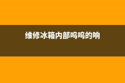 维修冰箱内部呜呜声(维修冰箱内部有什么)(维修冰箱内部呜呜的响)