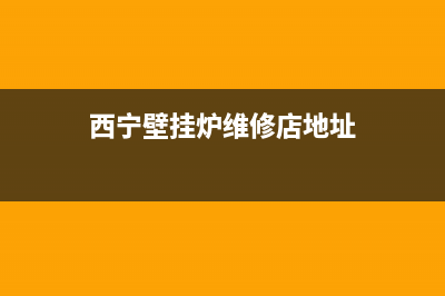 西宁壁挂炉维修(西宁壁挂炉维修班)(西宁壁挂炉维修店地址)