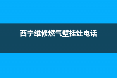 西宁维修燃气壁挂炉电话是多少(西宁小松鼠壁挂炉售后)(西宁维修燃气壁挂灶电话)