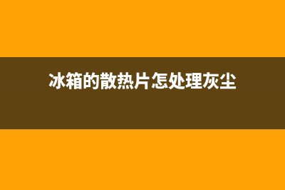 冰箱散热翅片清洗(冰箱散热电机维修)(冰箱的散热片怎处理灰尘)