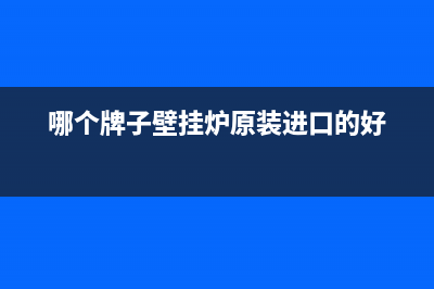 哪个牌子壁挂炉最好(哪个牌子壁挂炉原装进口的好)