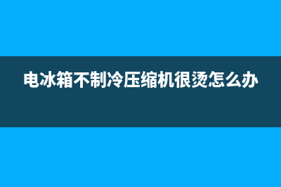 电冰箱不制冷压缩机发热维修(电冰箱不制冷压缩机维修)(电冰箱不制冷压缩机很烫怎么办)