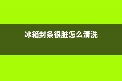 清洗冰箱封条漏气(清洗冰箱封条霉点)(冰箱封条很脏怎么清洗)