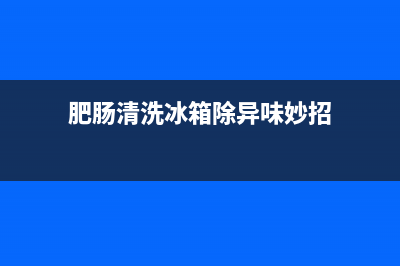 肥肠清洗冰箱除味(肥肠清洗冰箱柜设计)(肥肠清洗冰箱除异味妙招)