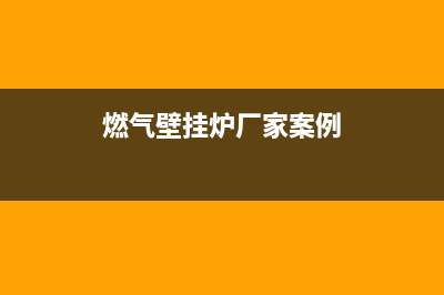 四川燃气壁挂炉供暖上门维修(四川燃气壁挂炉耗电上门维修)(燃气壁挂炉厂家案例)