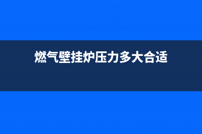 燃气壁挂炉压力表维修(燃气壁挂炉烟气故障怎么维修)(燃气壁挂炉压力多大合适)