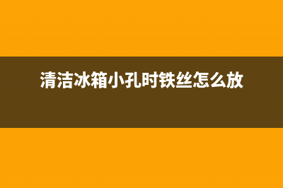 清洗冰箱铁网(清洗冰箱停电多久最好)(清洁冰箱小孔时铁丝怎么放)