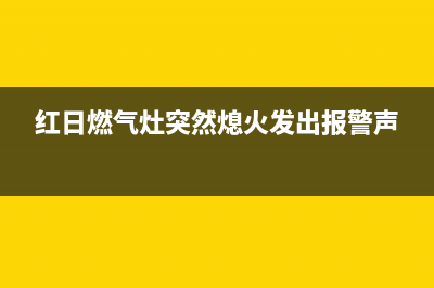 红日燃气灶突然熄火原因(红日燃气灶突然熄火发出报警声)