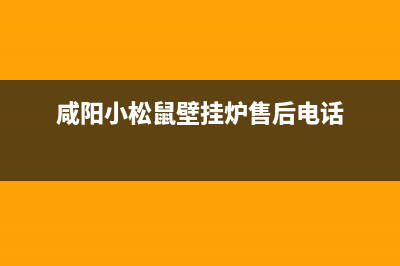 咸阳小松鼠壁挂炉售后服务电话(咸阳小松鼠壁挂炉售后维修电话)(咸阳小松鼠壁挂炉售后电话)