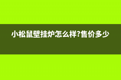 嘉兴小松鼠壁挂炉维修售后电话(嘉兴依玛壁挂炉售后)(小松鼠壁挂炉怎么样?售价多少)