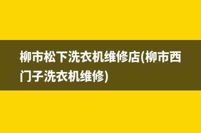 柳市松下洗衣机维修店(柳市西门子洗衣机维修)