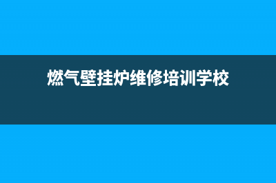 燃气壁挂炉维修指南(燃气壁挂炉维修中)(燃气壁挂炉维修培训学校)