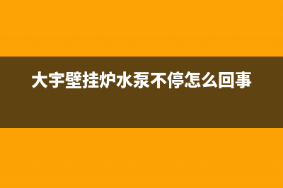 大宇壁挂炉水泵异响怎么维修(大宇壁挂炉水泵怎么维修)(大宇壁挂炉水泵不停怎么回事)