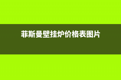 菲斯曼壁挂炉价格报价(菲斯曼壁挂炉价格表图片)