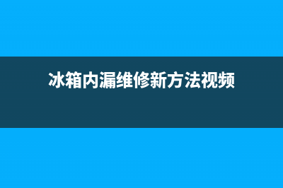 冰箱内漏可以维修吗(冰箱内漏了维修还能用多久)(冰箱内漏维修新方法视频)