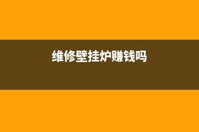 维修壁挂炉行业(维修壁挂炉需要办证吗)(维修壁挂炉赚钱吗)