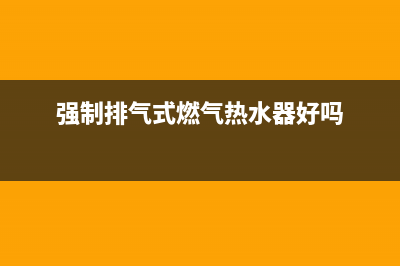 强制排气式燃气热水器特点(强制排气式燃气热水器好吗)